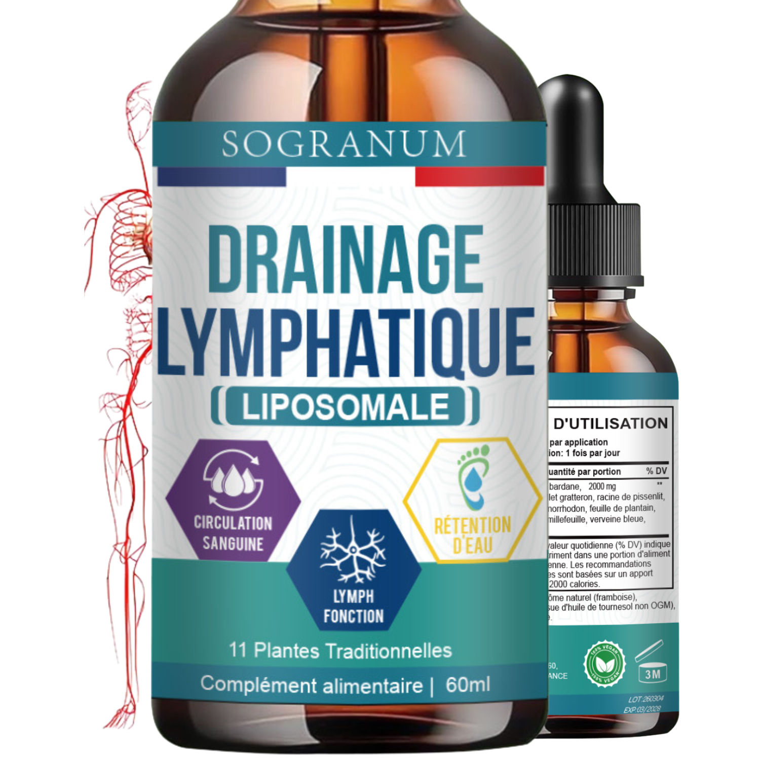 Drainage Lymphatique Liposomale | Jambes Lourdes, Circulation sanguine, Rétention d'eau